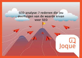 seo analyse