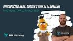 google bert seo