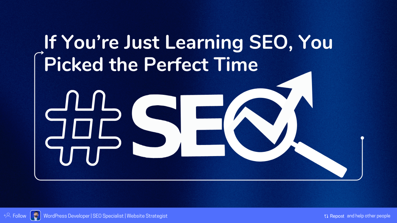 seo specialist wordpress