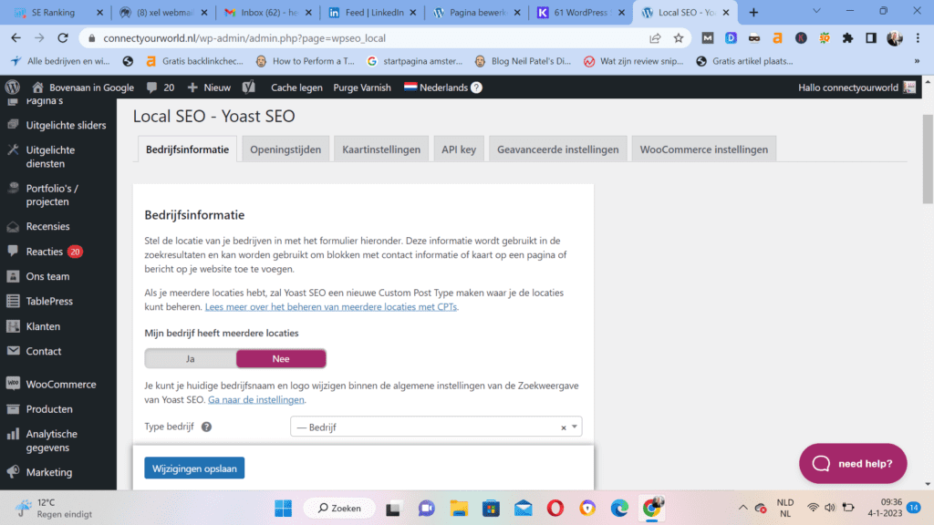 seo instellen wordpress