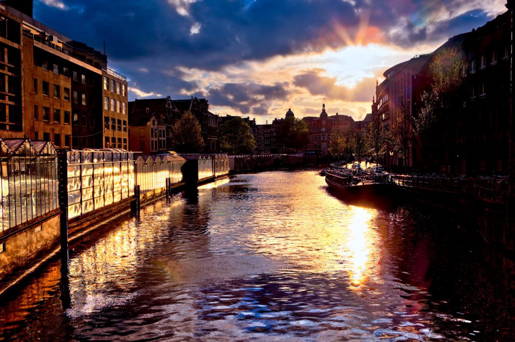 online marketing bureau amsterdam