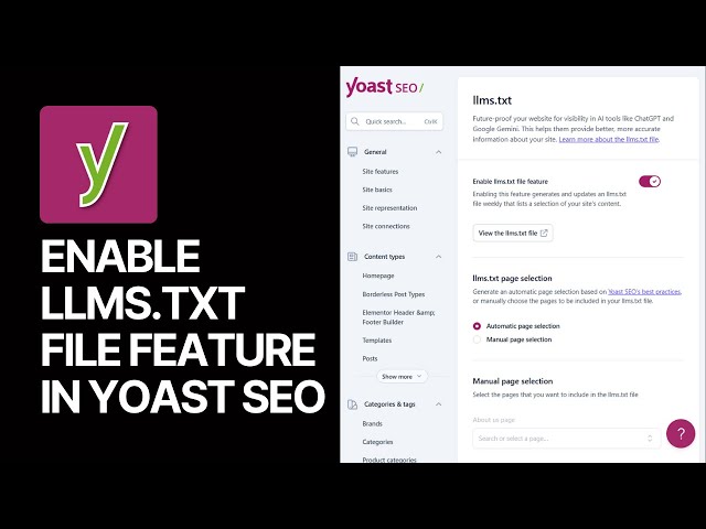 yoast seo amp